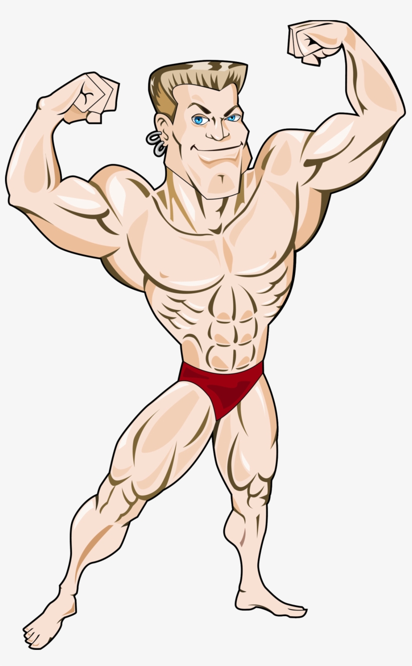 Muscle Tissue Bodybuilding Illustration Health And - Mr Muscle, transparent png download