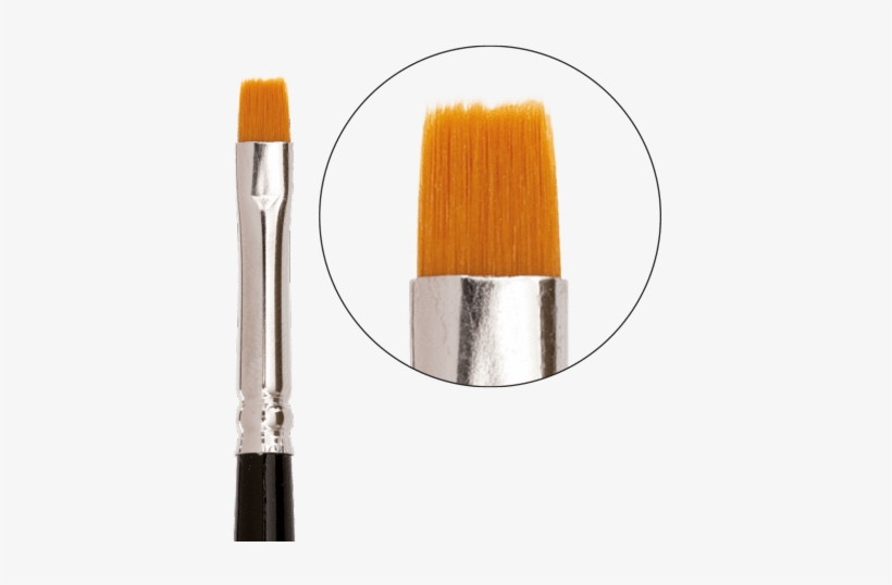 Makeup Brushes, transparent png download