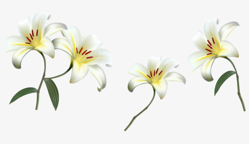 Png Клипарт "beautiful Flowers" - คํา คม วัน เกษียณ, transparent png download