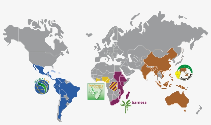 Banana Networks - Belt And Road Forum, transparent png download