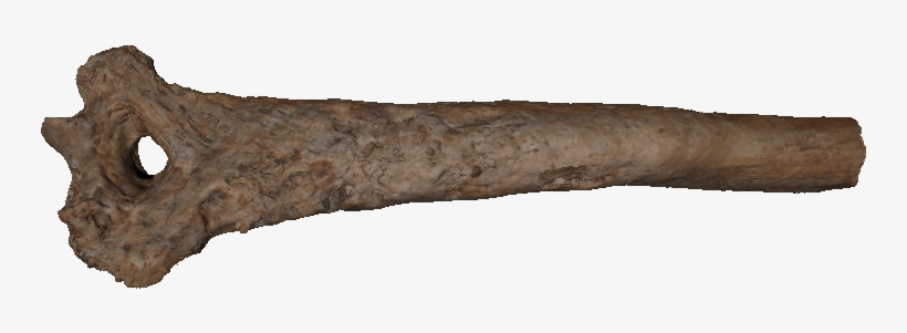 1920 X 927 6 - Real Bone Transparent, transparent png download