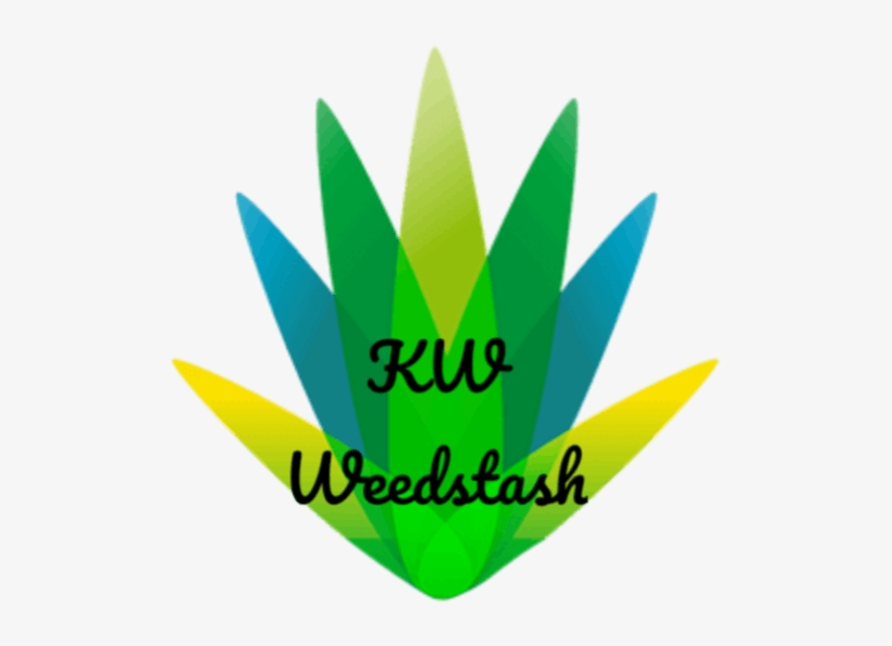Vector, transparent png download