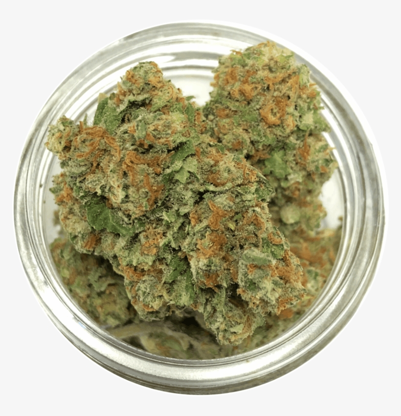 Durban Poison - Muthia, transparent png download