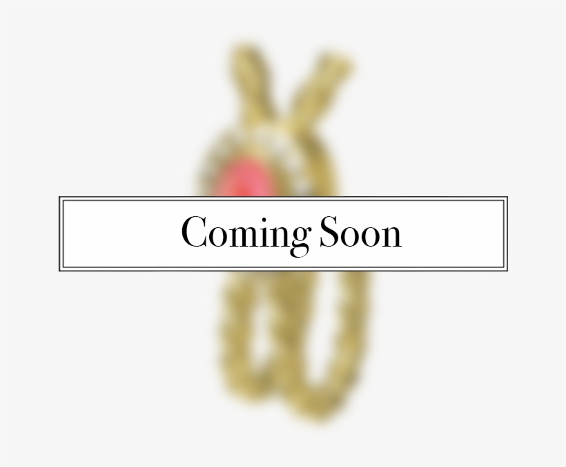 For Continued Care And Questions, We Recommend That - Animal, transparent png download
