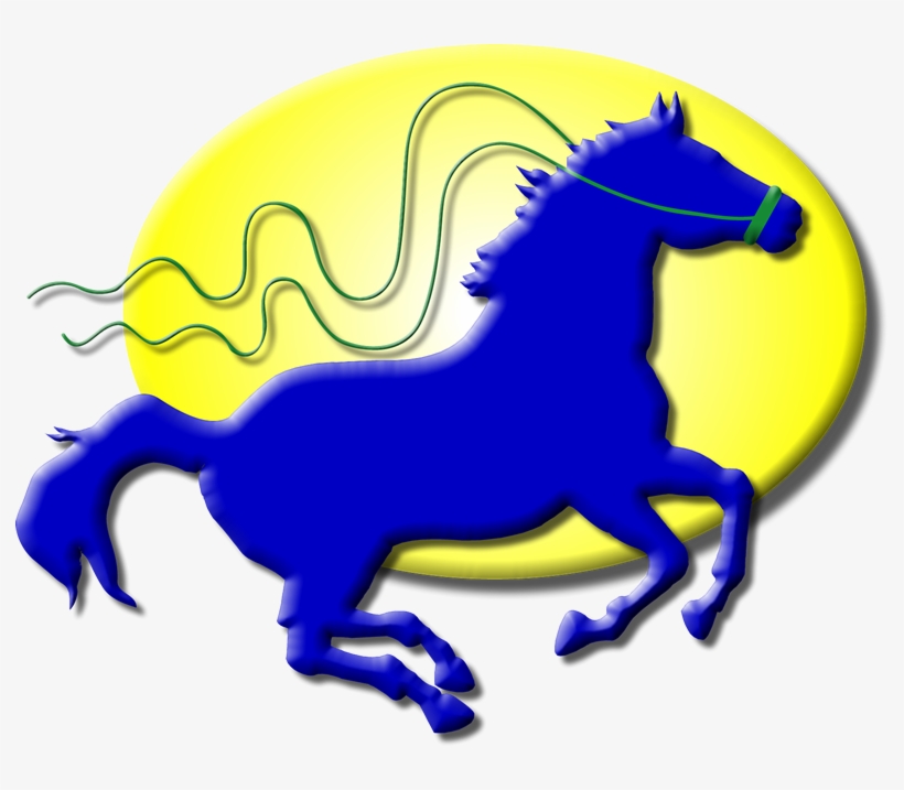Class - Horse Running, transparent png download