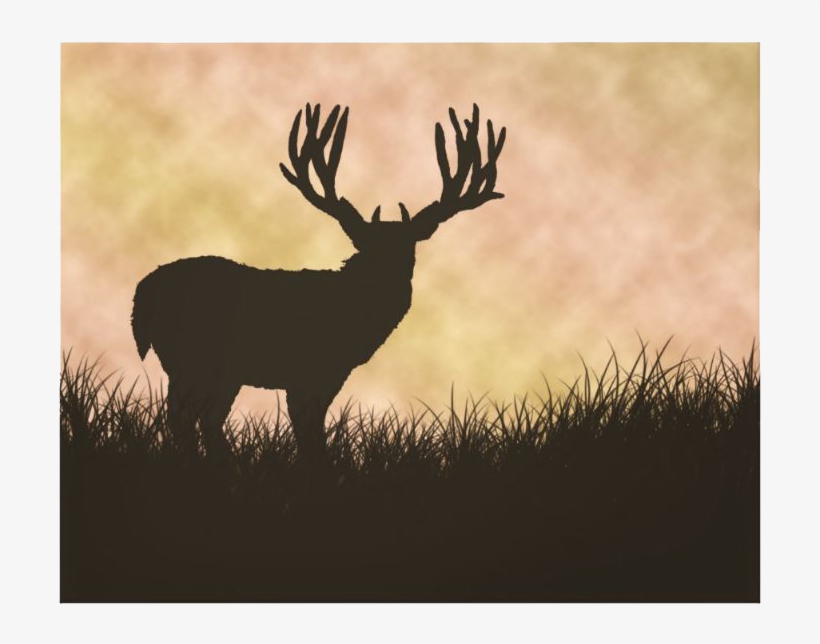 Antler, transparent png download