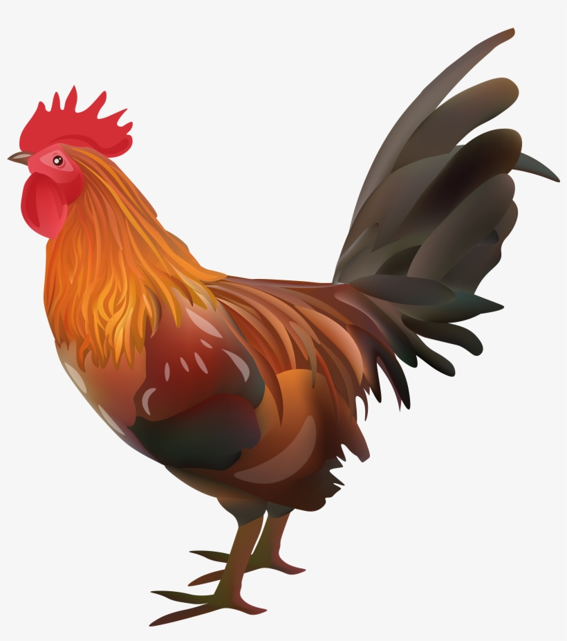 Rooster Chicken Transparent Image, transparent png download