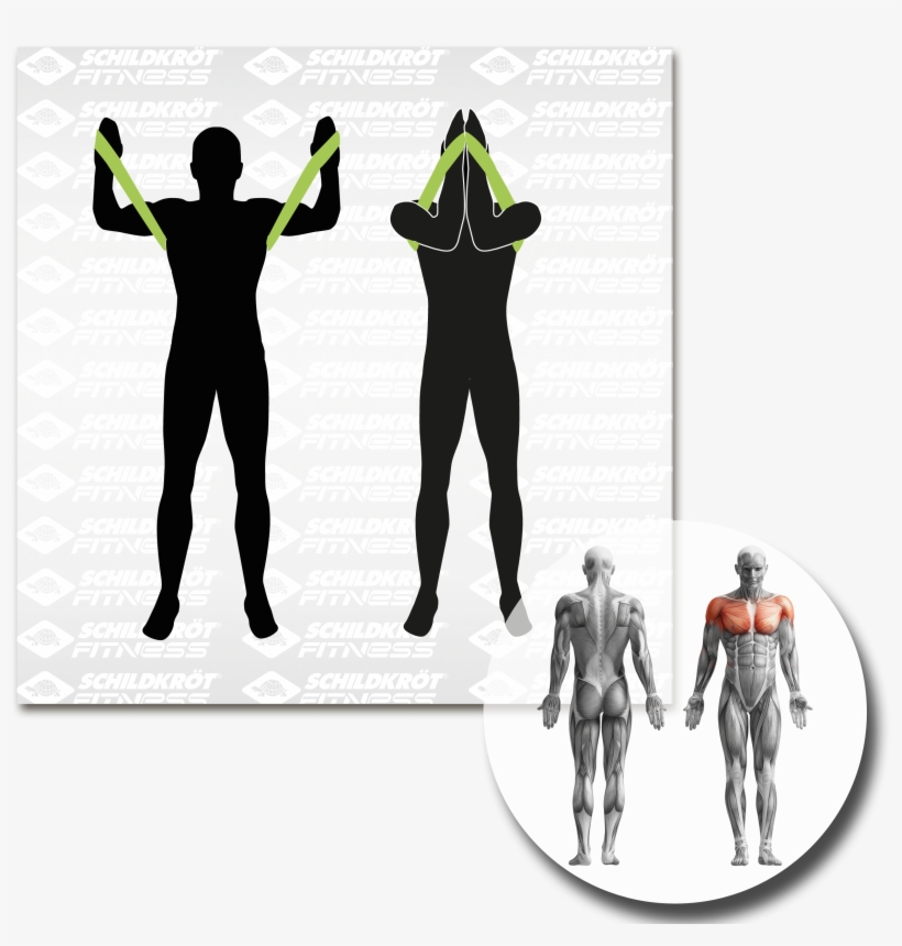 Tips - Root Of The Human Body, transparent png download