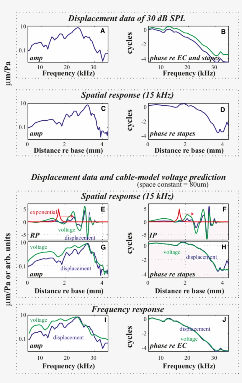 Cable Model Development - Style, transparent png download