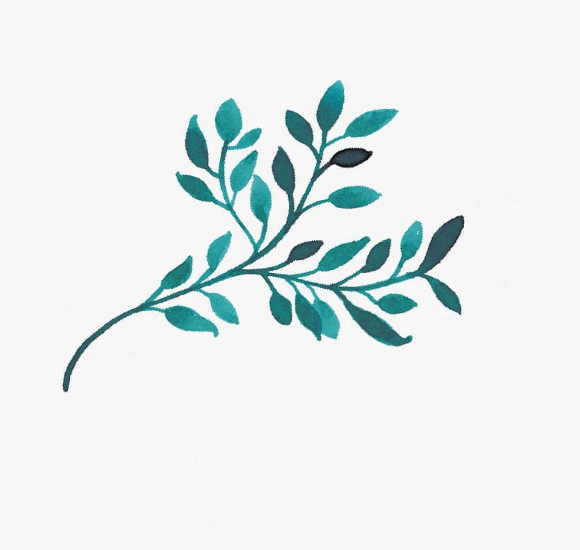 Aprende Conmigo A Escribir - Gambel Oak, transparent png download