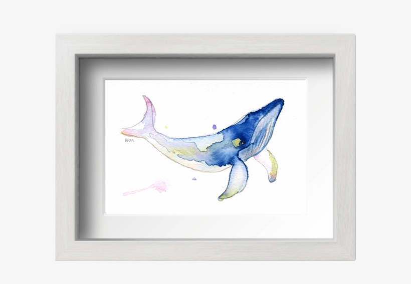 Acuarela La Ballena Valentina Con Marco - Picture Frame, transparent png download