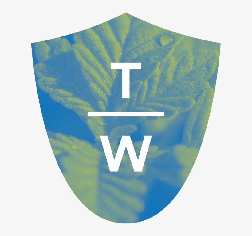 Utf 8''theory Wellness 7 23 Medical Marijuana & Cannabis - Emblem, transparent png download