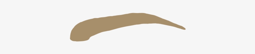 Eyebrow Brows Makeup - Natural Material, transparent png download