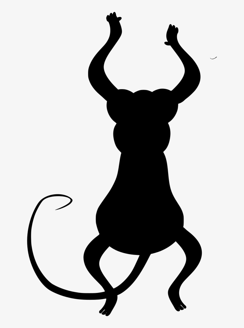 Download Png - Monkey, transparent png download