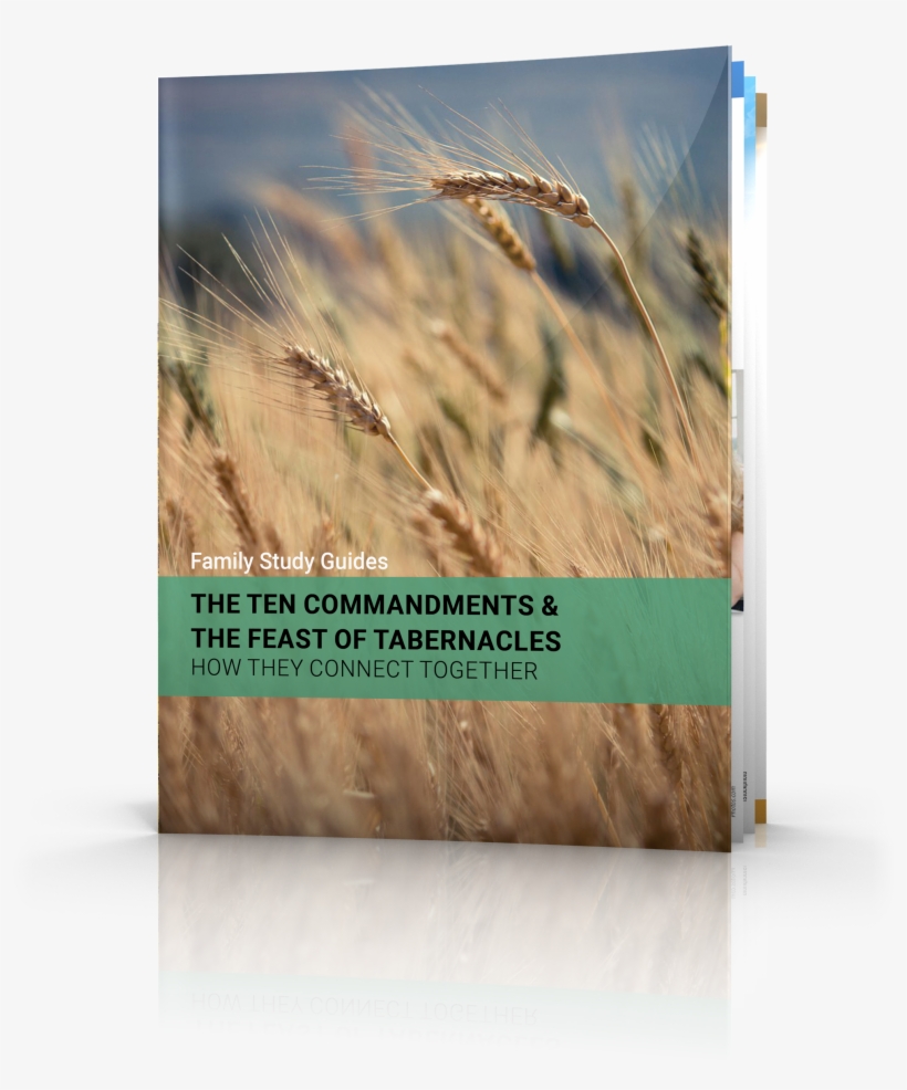 The Ten Commandments - Wheat, transparent png download