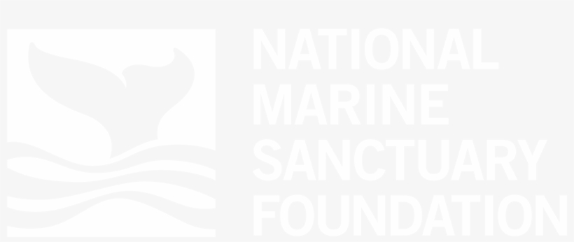 Logo - Graphic Design, transparent png download