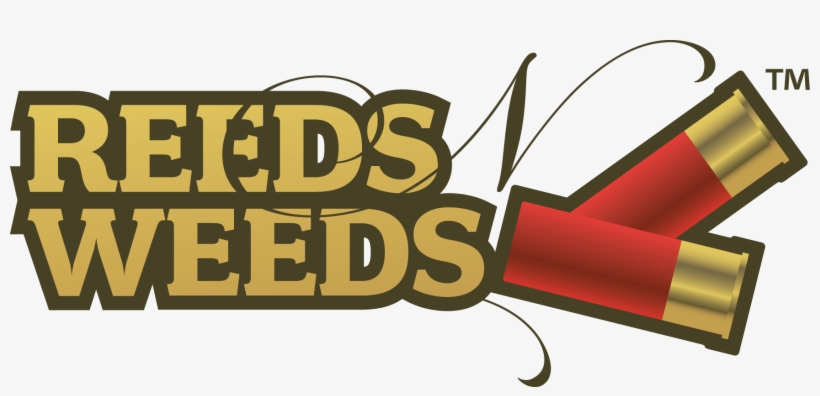 Reeds N Weeds Camo - Illustration, transparent png download