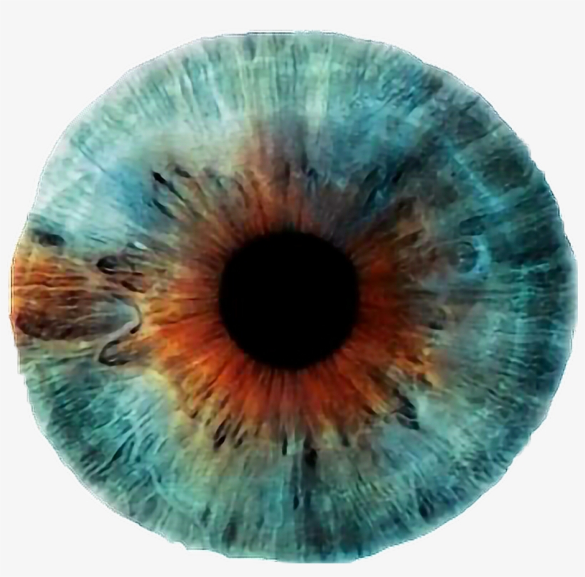 Blue Sticker, transparent png download