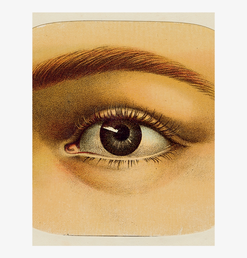 Eye Shadow, transparent png download