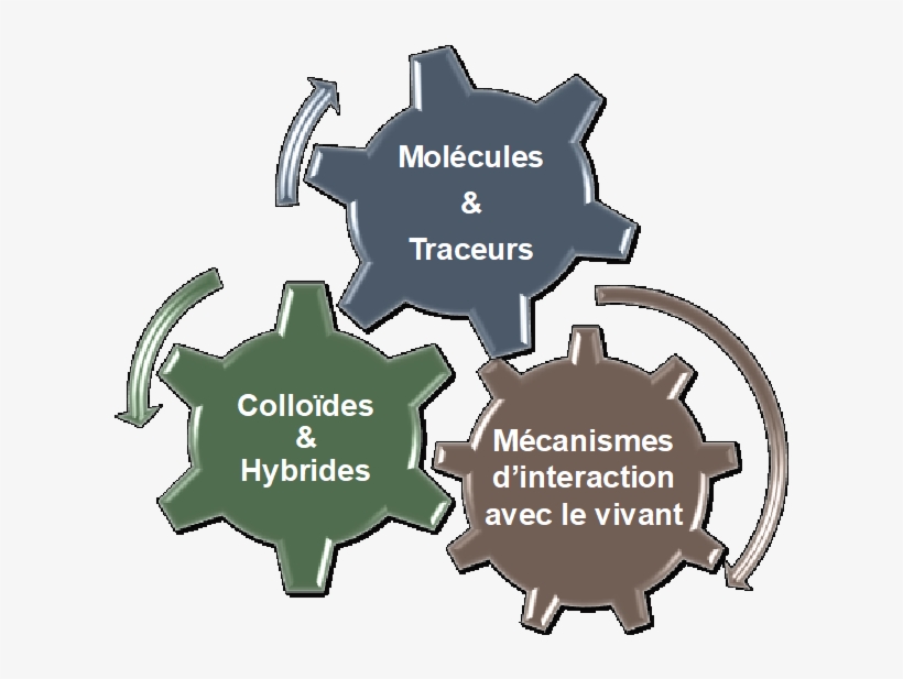 Our Ambition Is To Create A Synergy To Face The Therapeutic - Modelos Matematicos Para La Toma De Decisiones, transparent png download