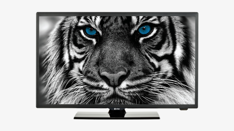 Estar Led Tv - Tv E Star, transparent png download