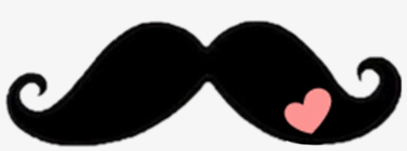 Circle, transparent png download