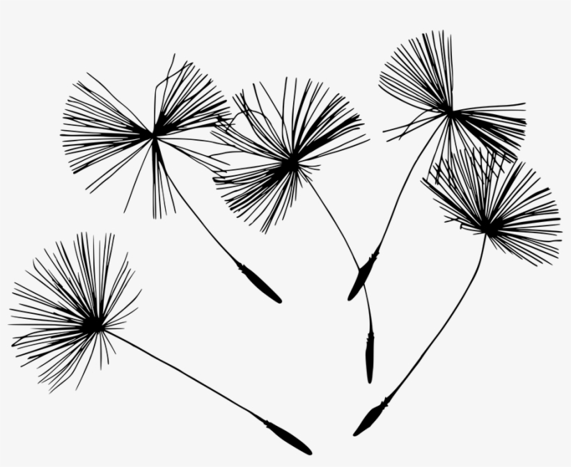 Black And White Flower Png - Cabochon Vorlagen Kinder, transparent png download