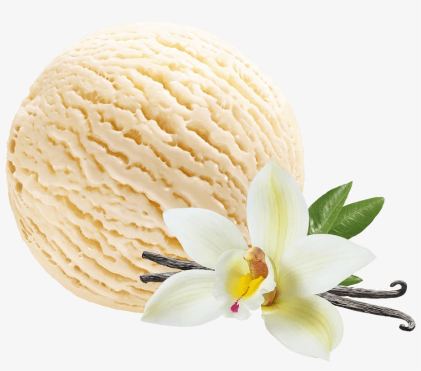 Vanilla Ice Cream - 5000ml Ice Cream Container, transparent png download