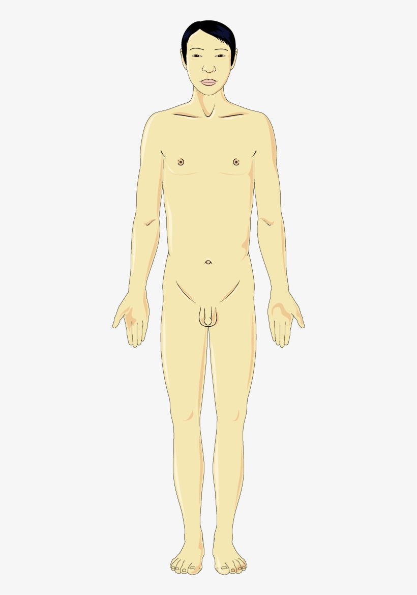 Download The Image - Mannequin, transparent png download