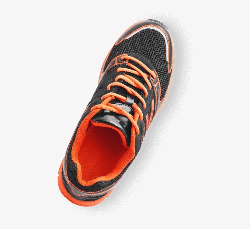 From The Therapists, - Water Shoe, transparent png download