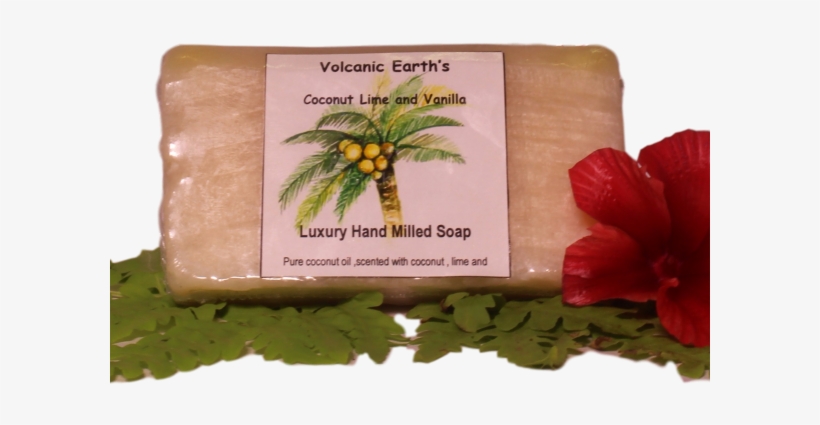 Coconut Lime Vanilla Soap - Hippeastrum, transparent png download