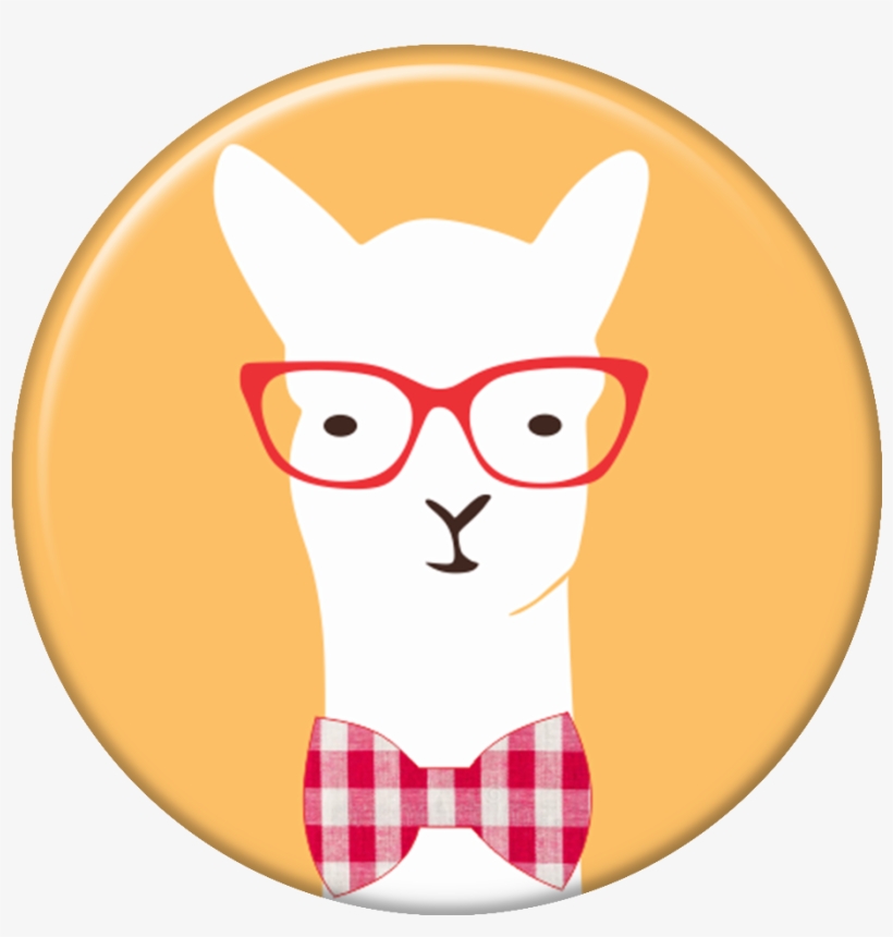 Pop Selfie Lhama Com Óculos - Cartoon, transparent png download