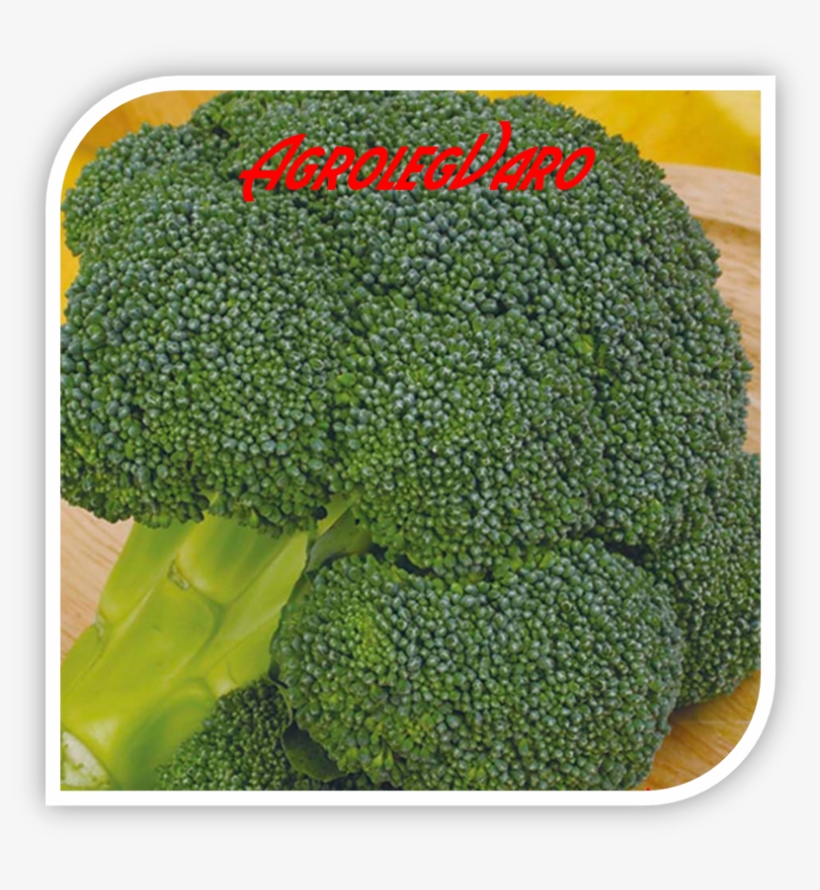 Seminte De Broccoli Ironman F1 - Broccoli, transparent png download
