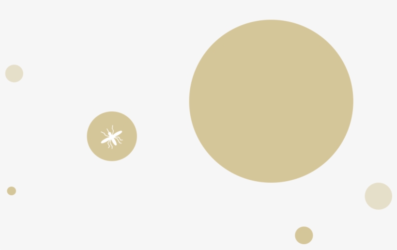 Circle, transparent png download