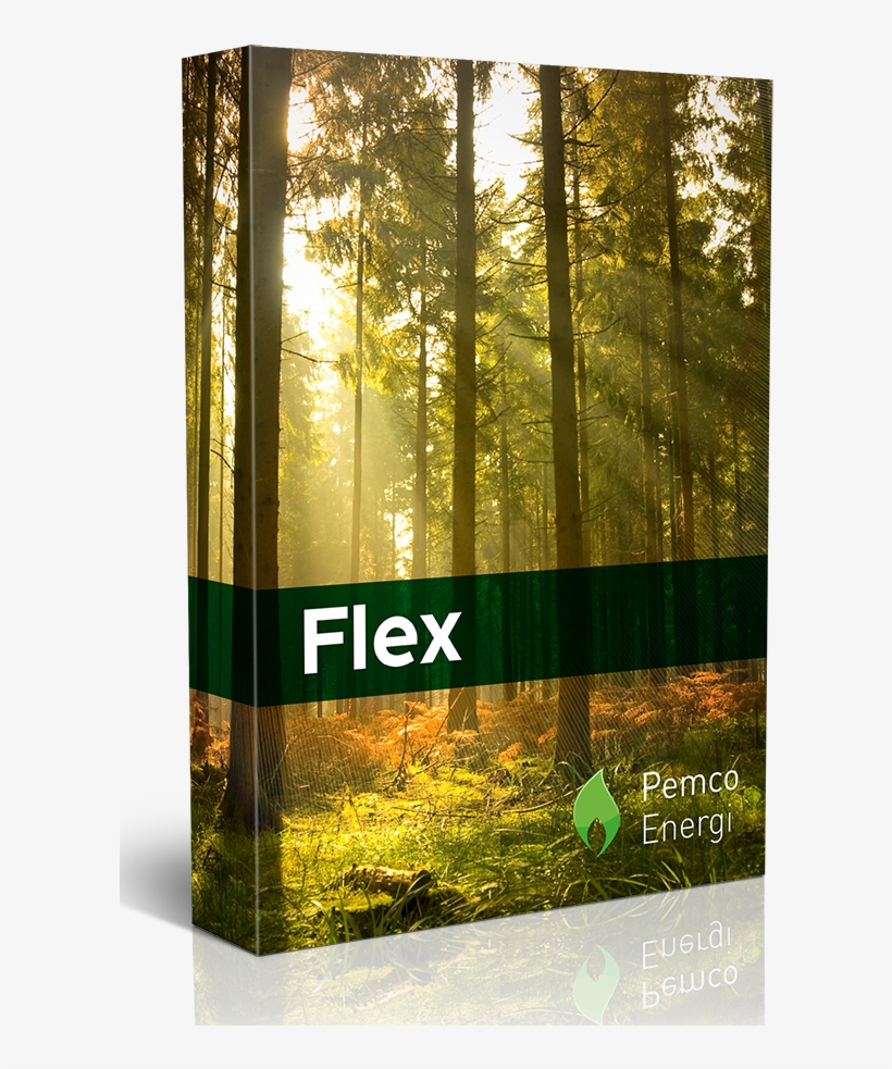 Copyright - Solör Bioenergi - Sunlight, transparent png download