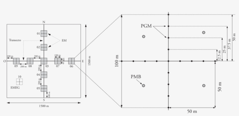 Distribución De Los Puntos De Muestreo En Una Em De - Achsenkreuz Vorlage, transparent png download