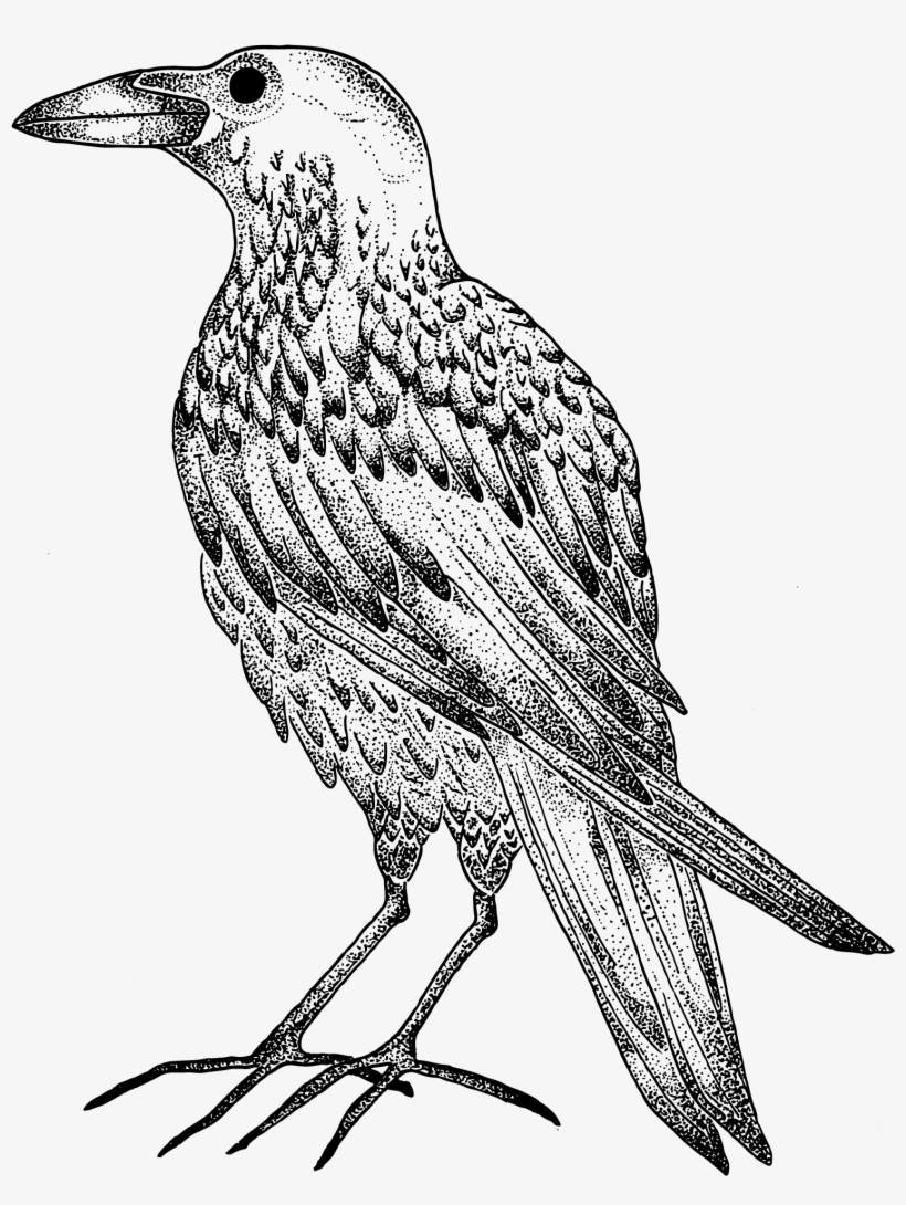 Original Artwork By The Magickal Creatrix - European Starling, transparent png download