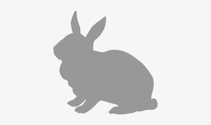 Rabbit - Domestic Rabbit, transparent png download