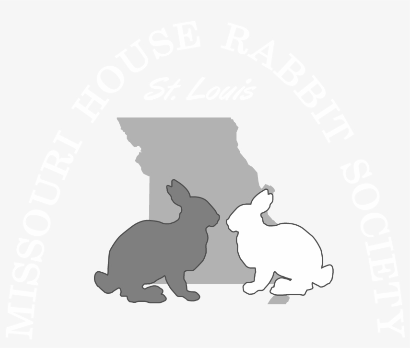 The House Rabbit Society - Domestic Rabbit, transparent png download