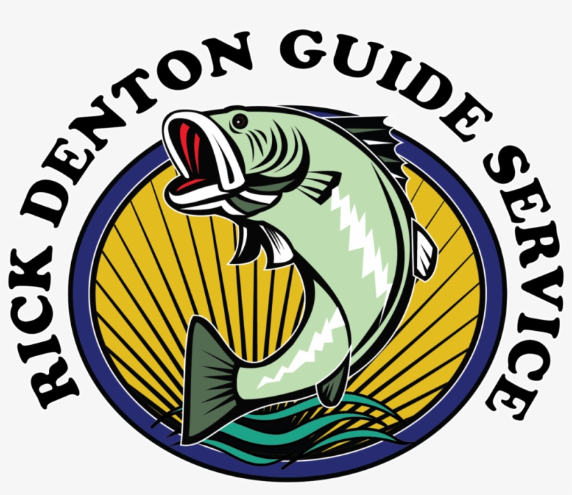 Fish Outline Png, transparent png download