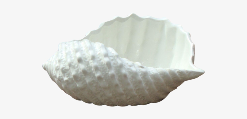 Vintage Antique Stafford White Italian Porcelain Seashell - Shell, transparent png download