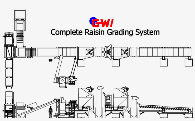 's Raisin Grading Systems Provide The Highest Quality - Diagram, transparent png download