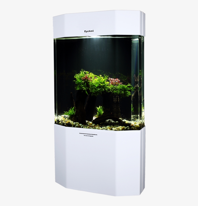 Eyckee Love Octagonal Ecological - Aquarium, transparent png download