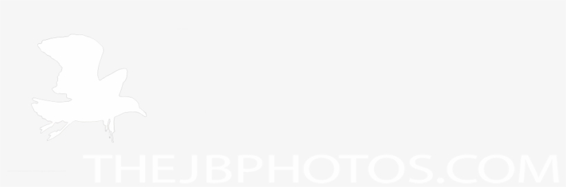 The Jb Photos Nature Photography - White Pixel, transparent png download