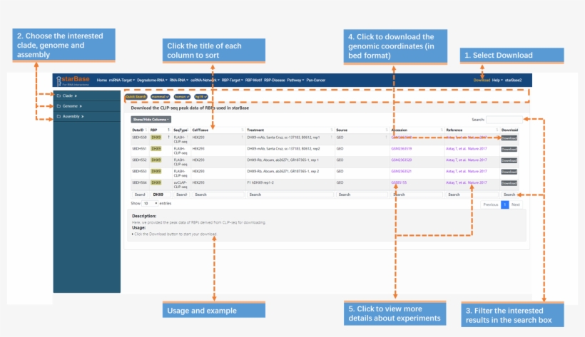 Download10, transparent png download