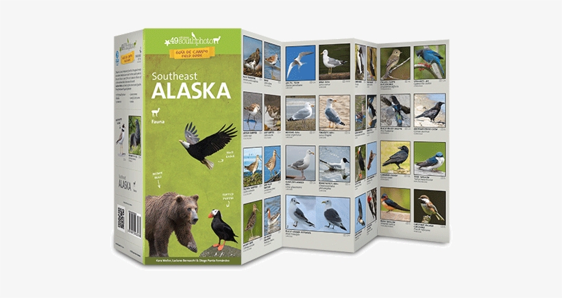 Redonda Svalbard Southeast Alaska - Tasmanian Devil, transparent png download