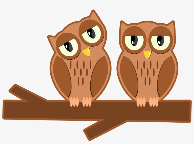 Big Image - Orange Owl On Branch Clipart, transparent png download