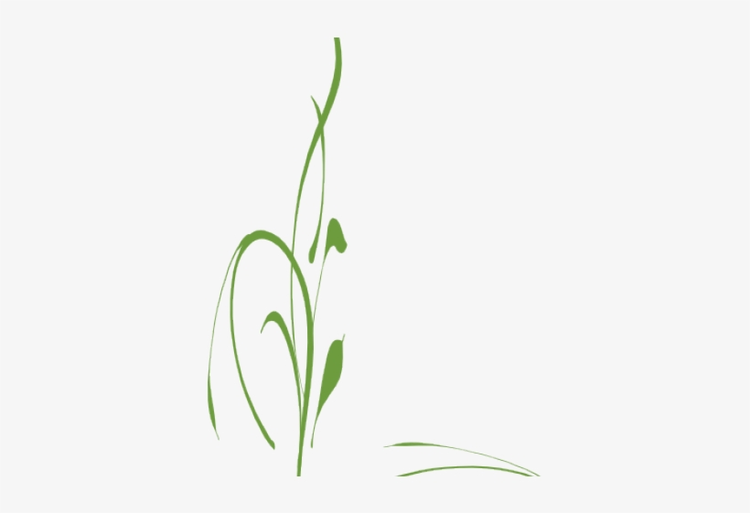 Green Vine Cliparts - Vine Flowers Transparent, transparent png download