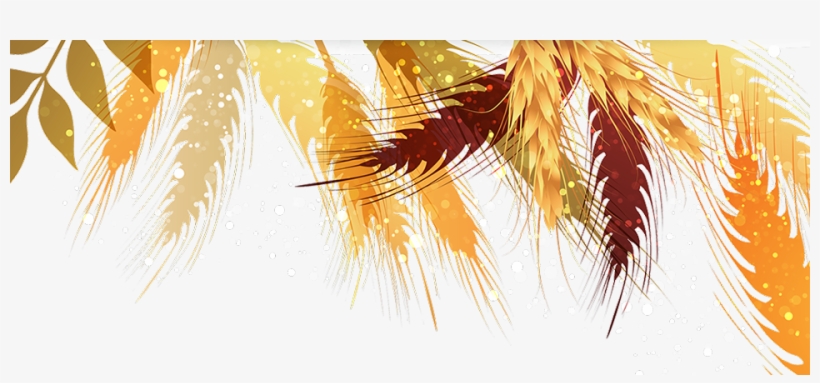 Autumn, transparent png download