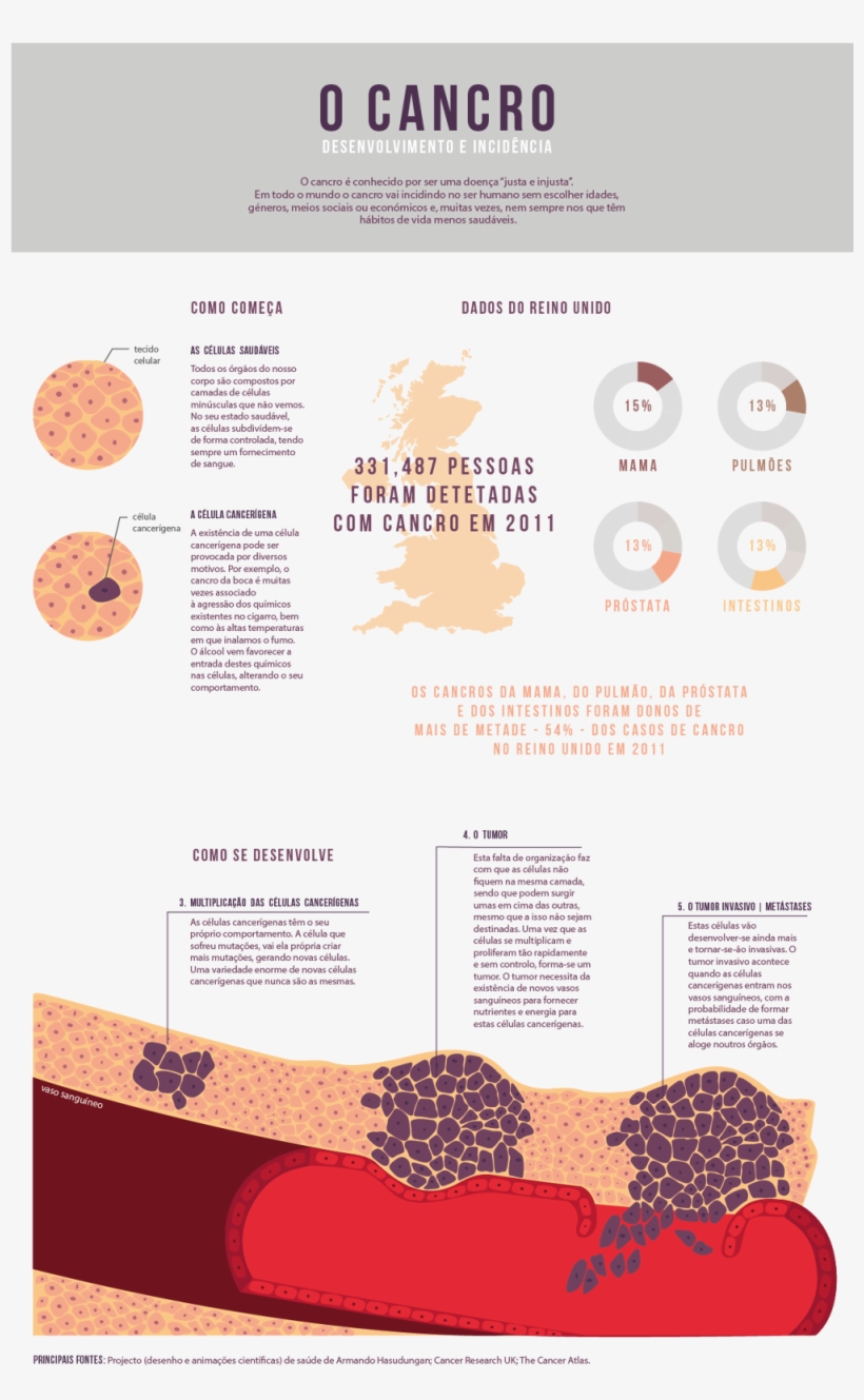 Animal, transparent png download